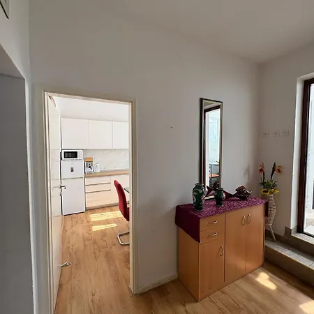 Olga Trogir